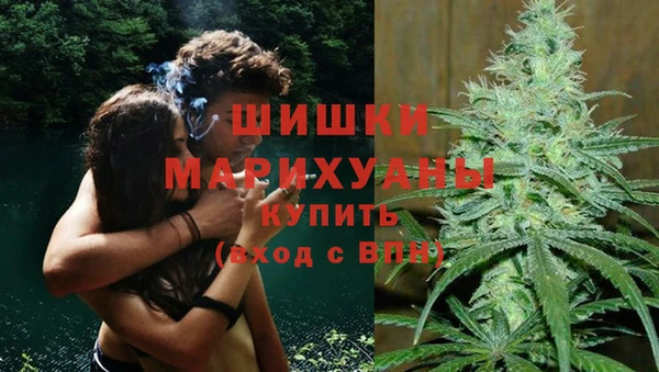 PSILOCYBIN Баксан