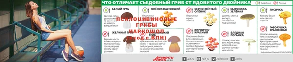 PSILOCYBIN Баксан