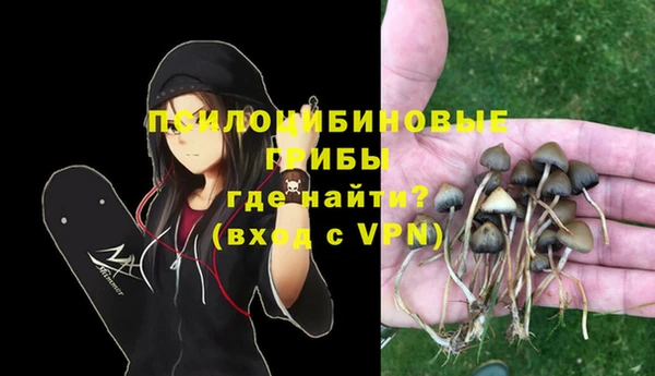 PSILOCYBIN Баксан
