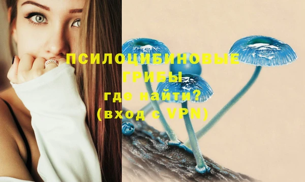 СК Балахна