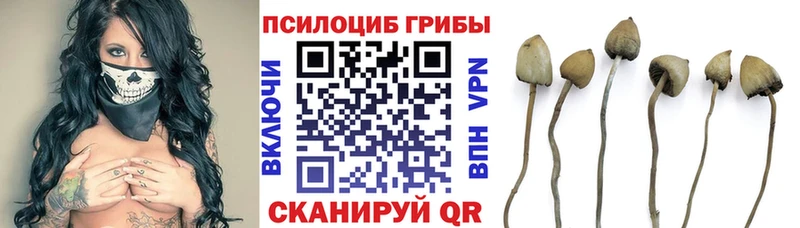 купить наркоту  Белово  Псилоцибиновые грибы ЛСД 